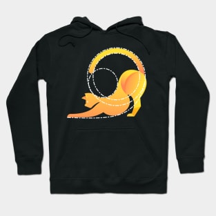 Golden Ratio Cat Hoodie